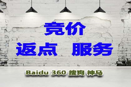 sem推广竞价策略的五大要点及成功案例解读
